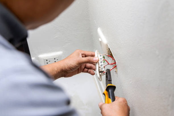 Best Local Electrician Companies  in Bath, MI